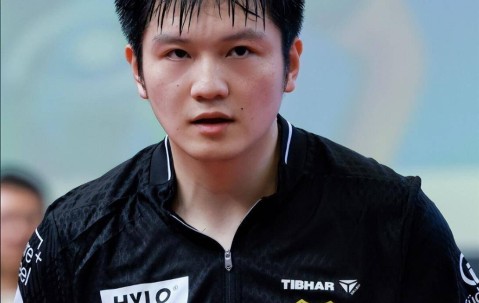 樊振东在德甲天天“开盲盒”？波尔说他在享受，球迷却看得心惊肉跳